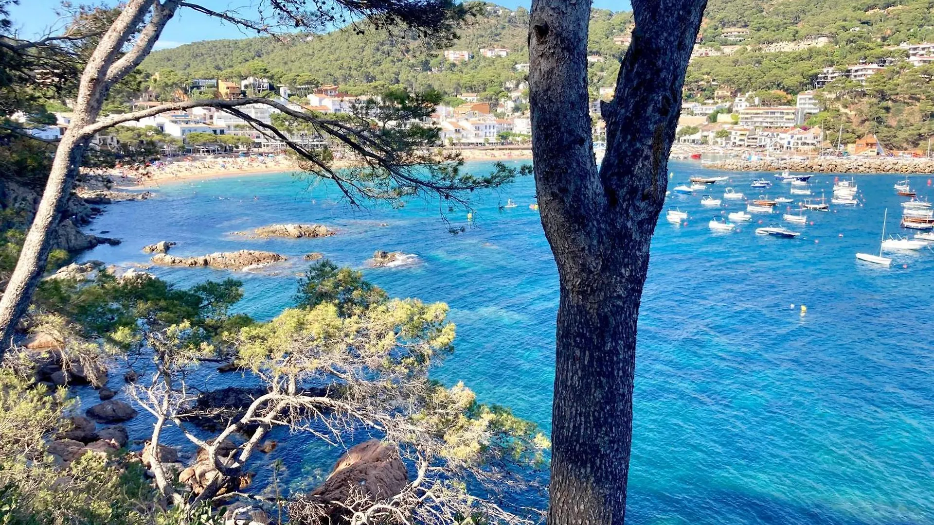 Apartamento 1Pele 2 - Llafranc